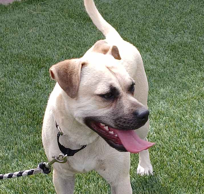 Photo of Astro