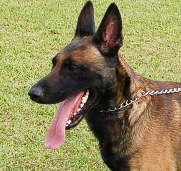 Photo of Klaus