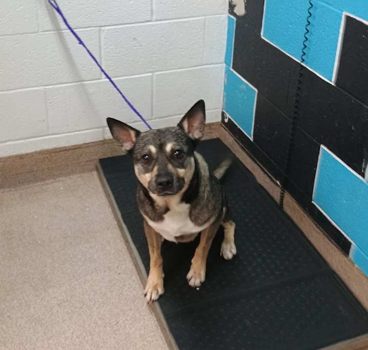 Photo of Thor