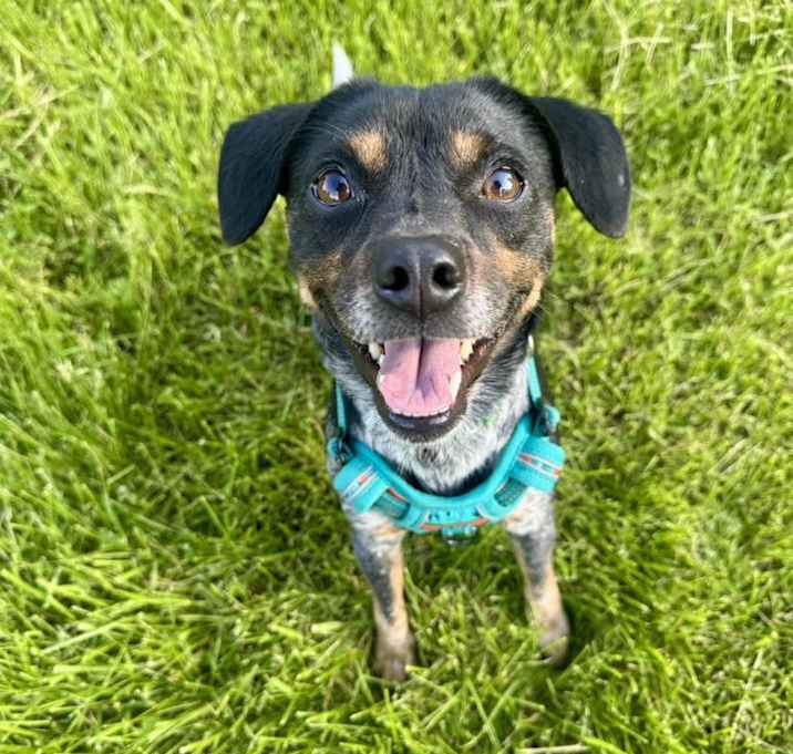 Photo of Rudy