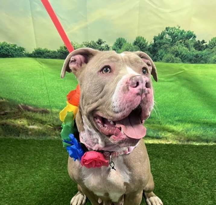 Photo of Remi