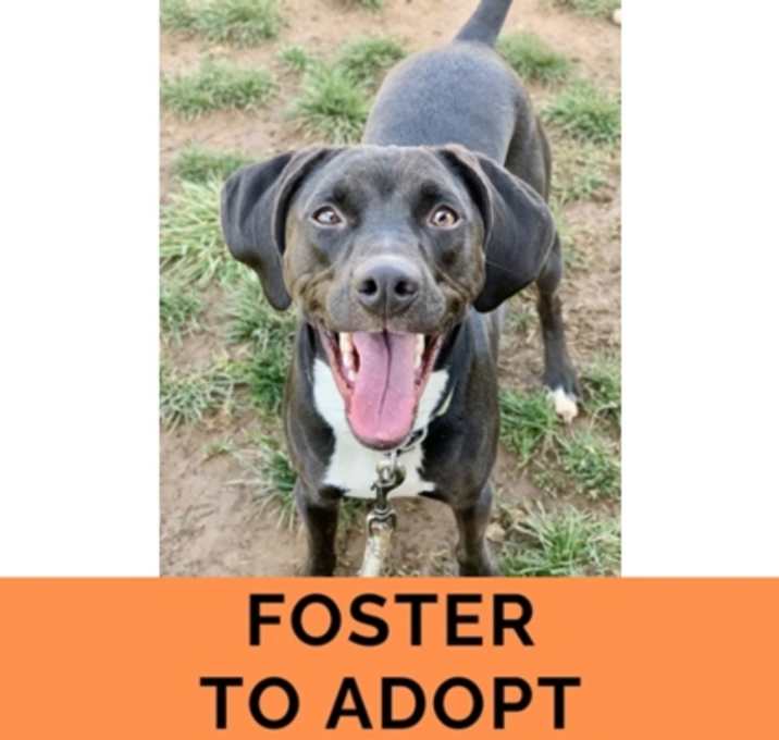 Photo of Roscoe