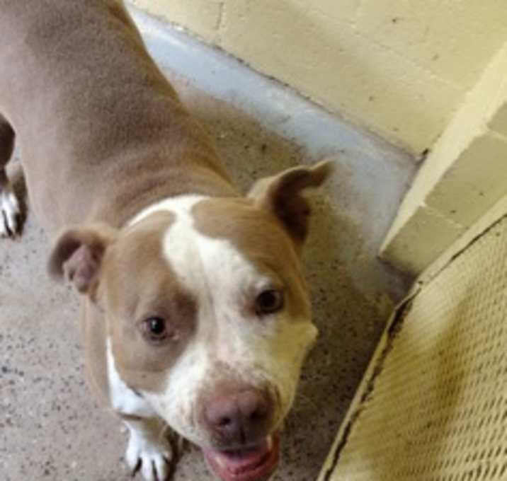 Photo of Baby Girl