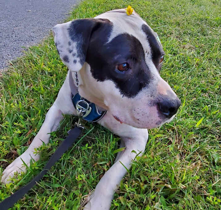 Photo of Zeus