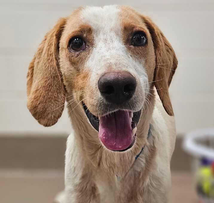 Photo of Jester