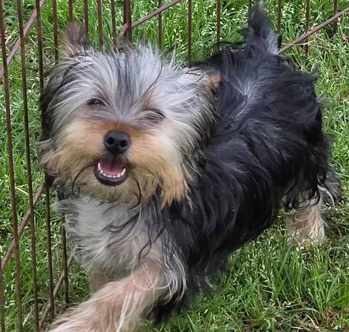 Photo of Minnie