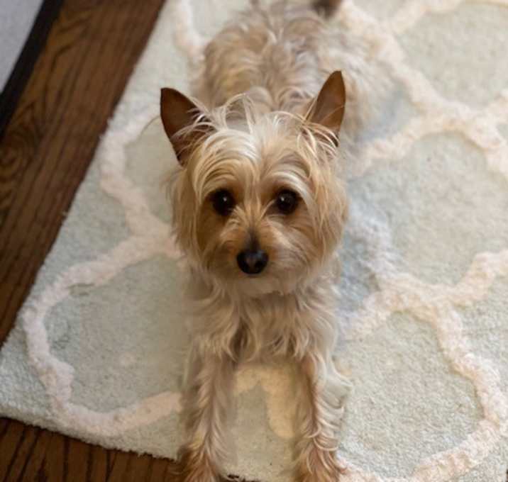 Photo of Gia