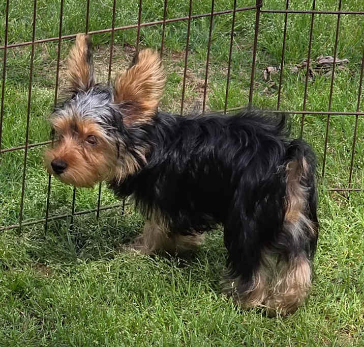 Photo of Ricky