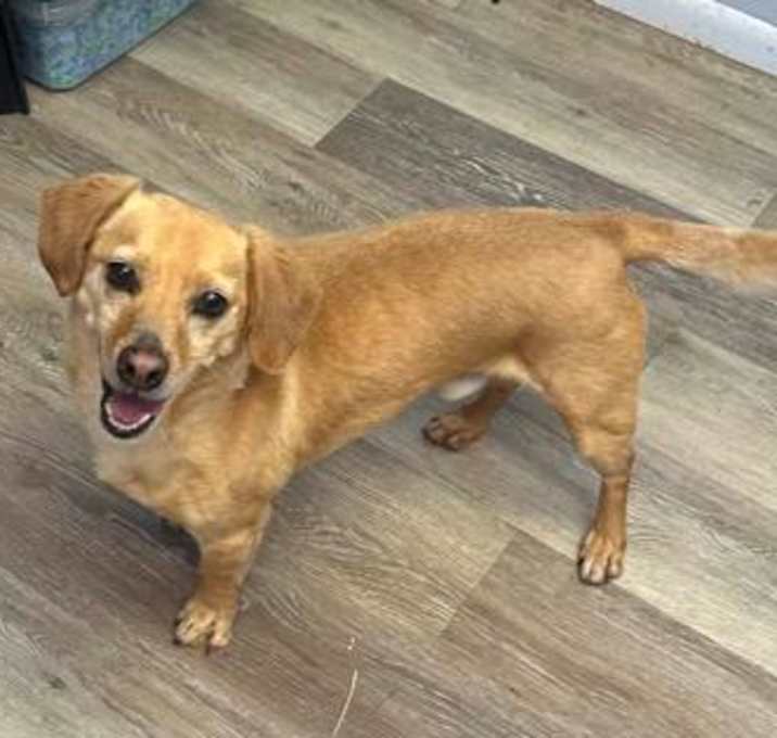 Photo of *Fred