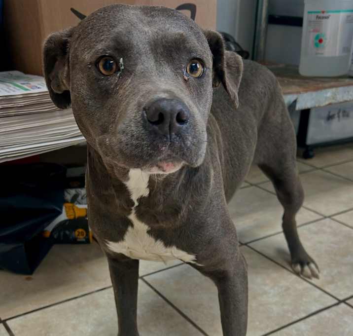 Photo of Betty