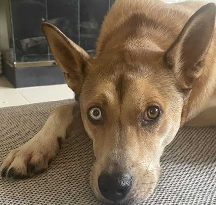 Photo of Riley