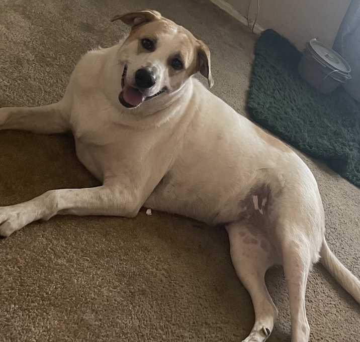 Photo of Lucy