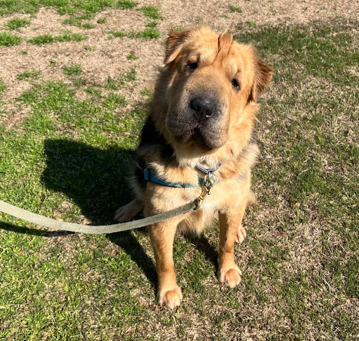 Photo of Delilah