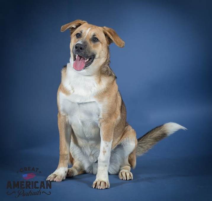 Photo of BISCUIT