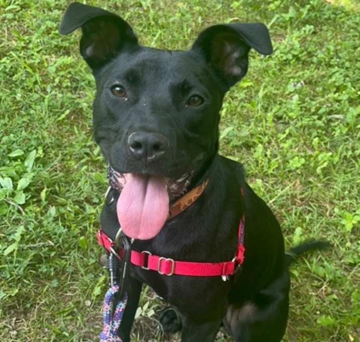 Photo of Rosco