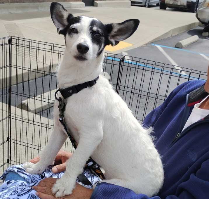 Photo of JACK (young adult)