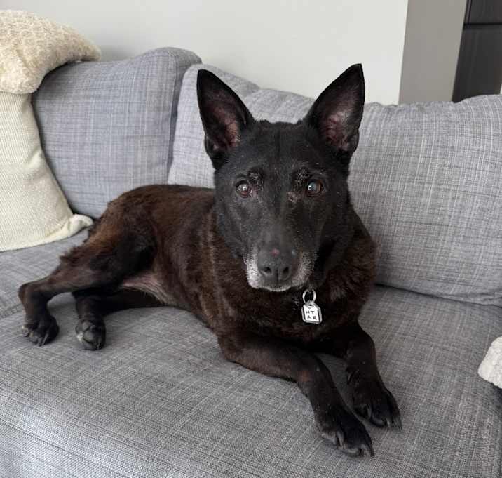 Photo of Betty