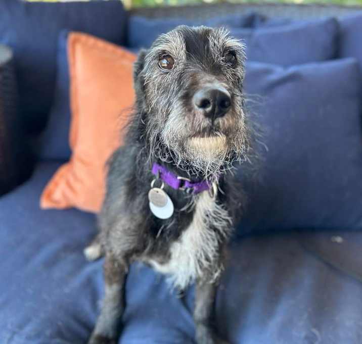 Photo of Trekker