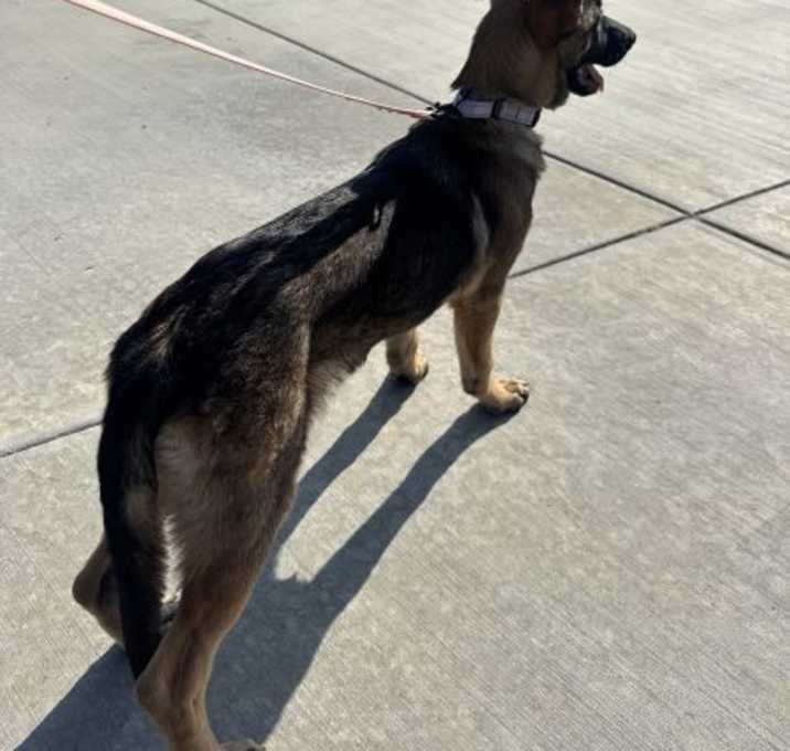 Photo of Hershey