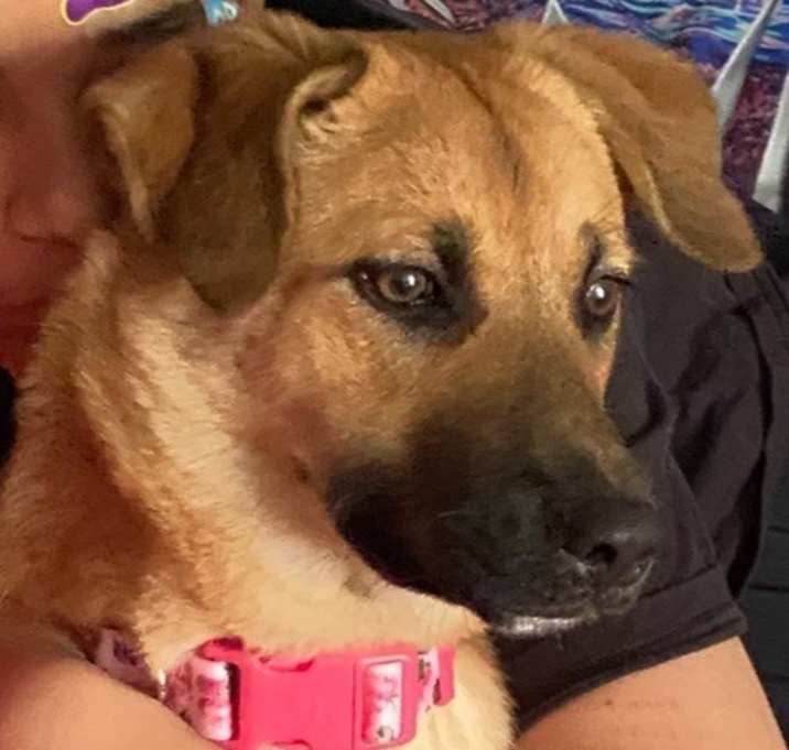 Photo of Leilah