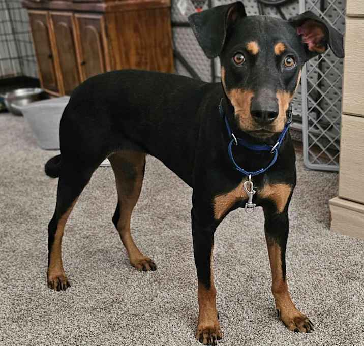 Photo of Gretel