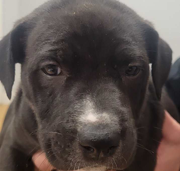 Photo of Mr. Wrinkles