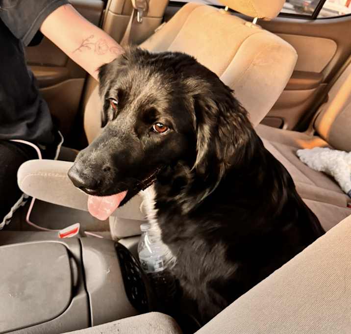 Photo of Waylon