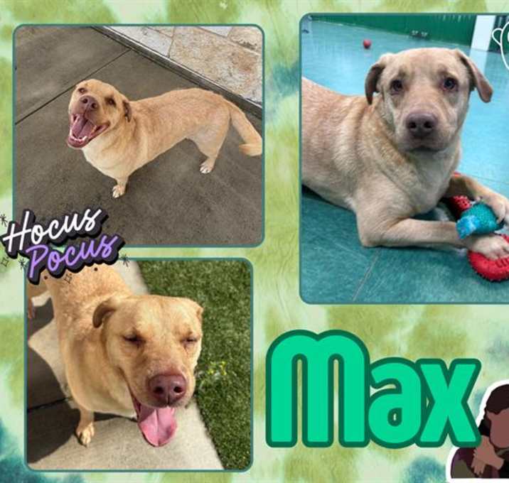 Photo of MAX