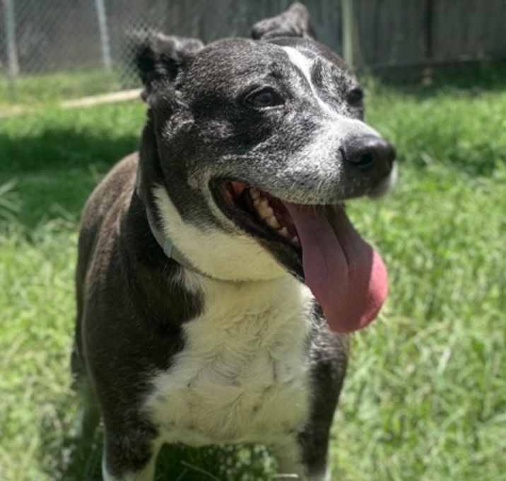 Photo of Octavia