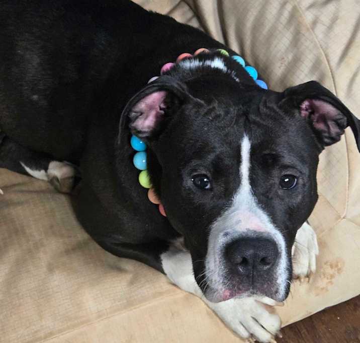 Photo of Laney