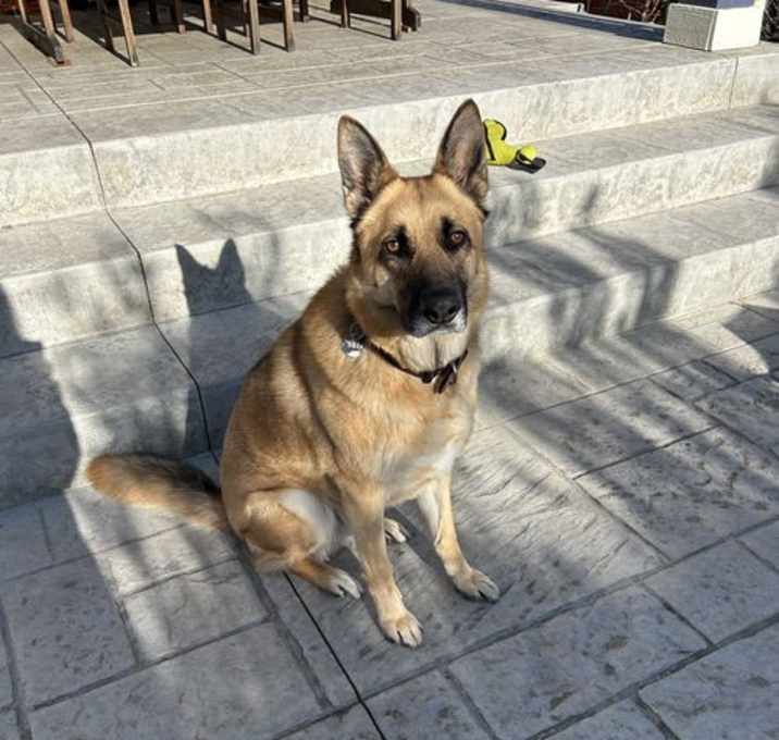 Photo of Willie