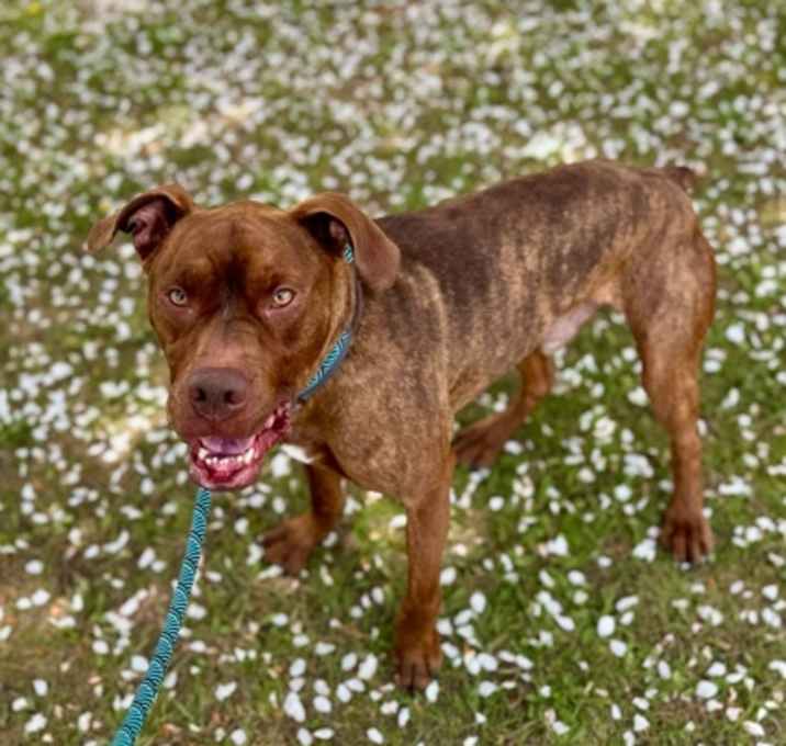 Photo of Smalls aka Cooper