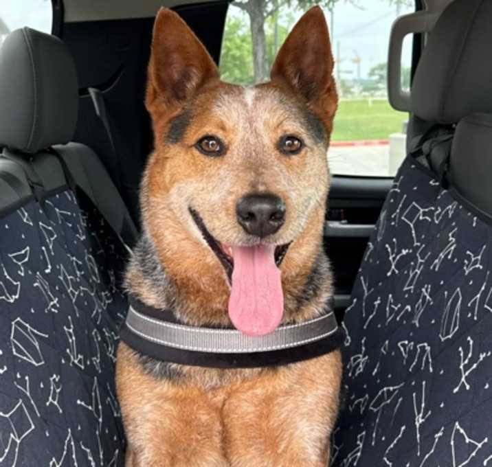 Photo of Obi-wan