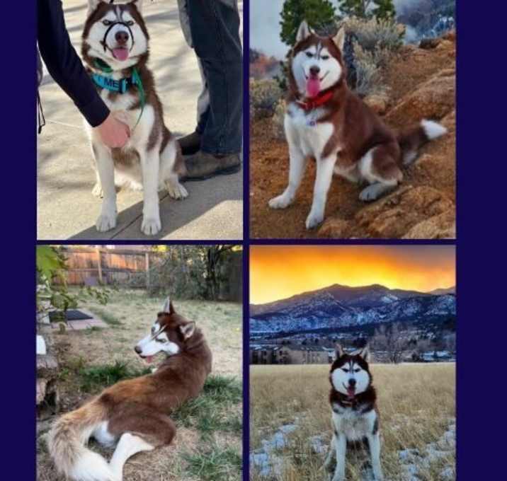 Photo of Diego