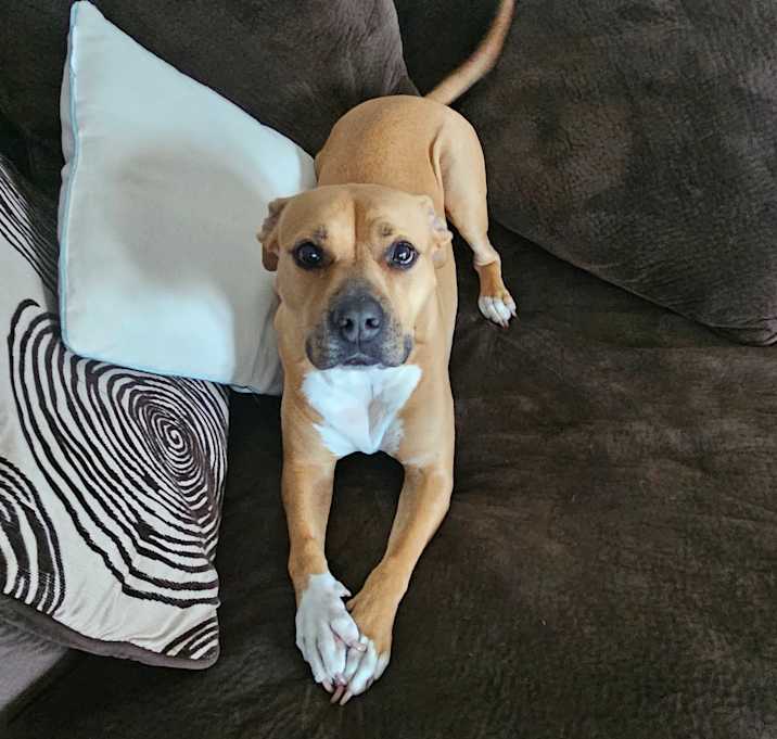 Photo of Cali