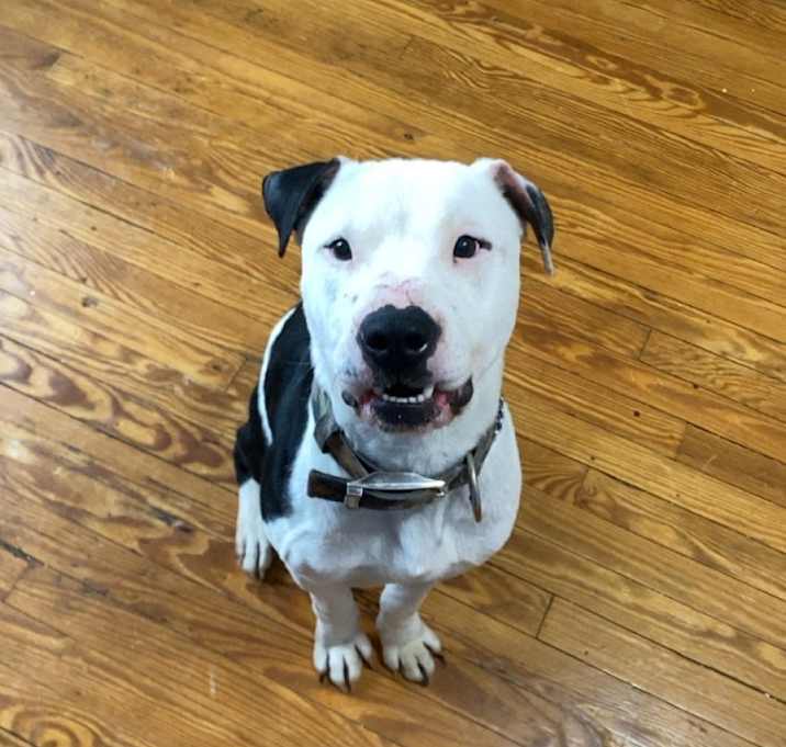 Photo of Whisky