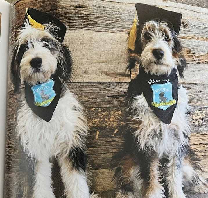 Photo of Van and Stella