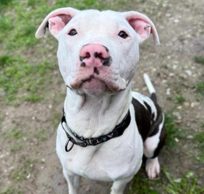 Photo of Meelo
