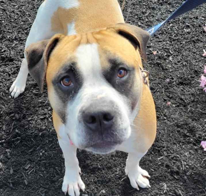 Photo of Lulu