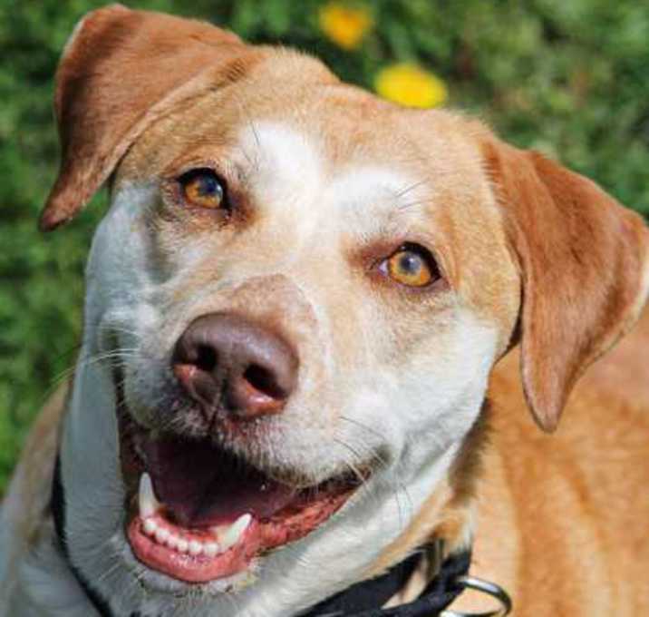 Photo of Miss Wiggles