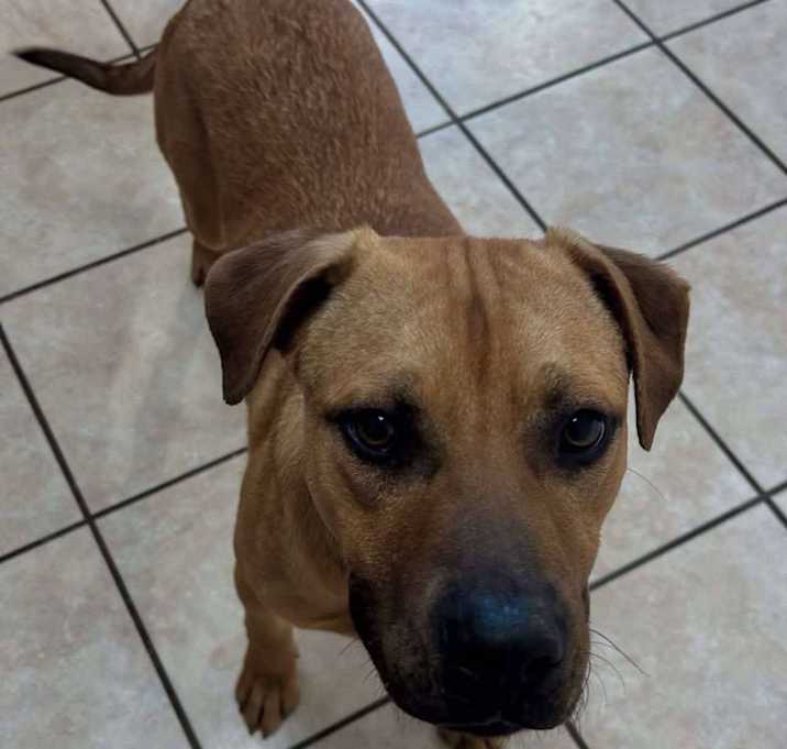 Photo of Hunter