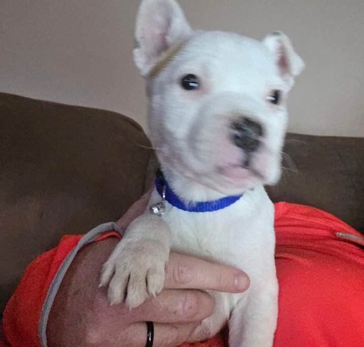 Photo of Jax