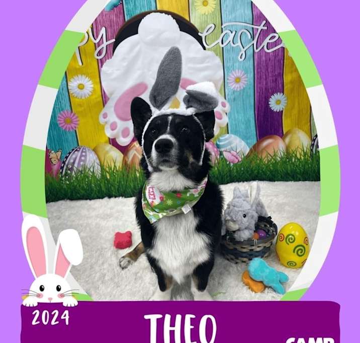 Photo of Theo