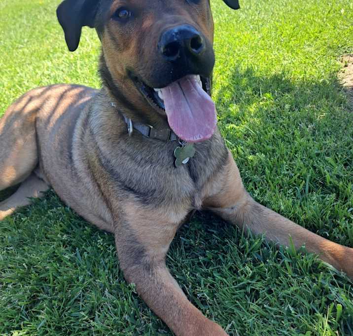 Photo of Max