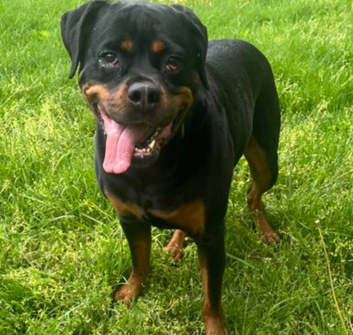 Photo of Kona