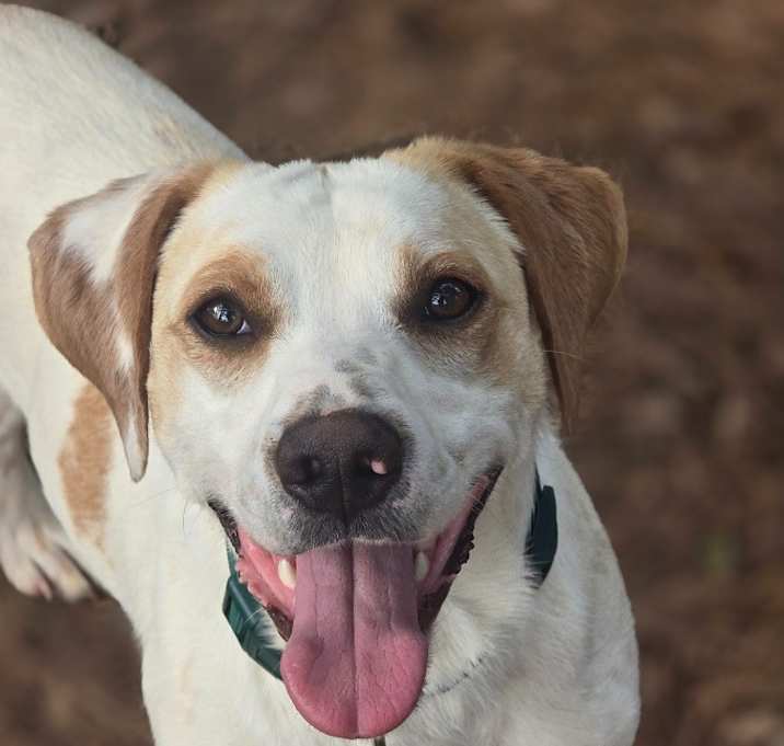 Photo of Poptart