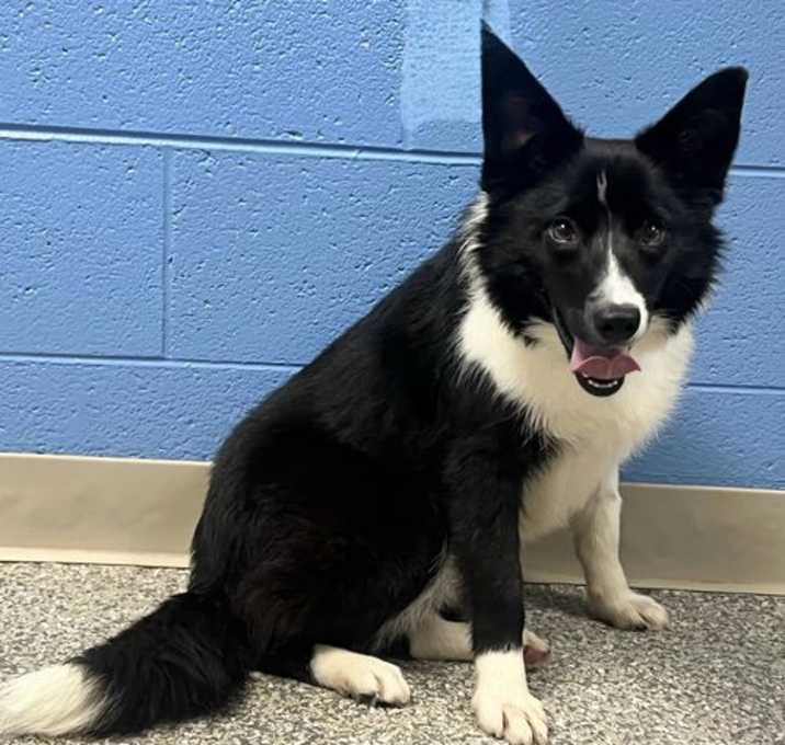 Photo of BEAUTIFUL BINDI