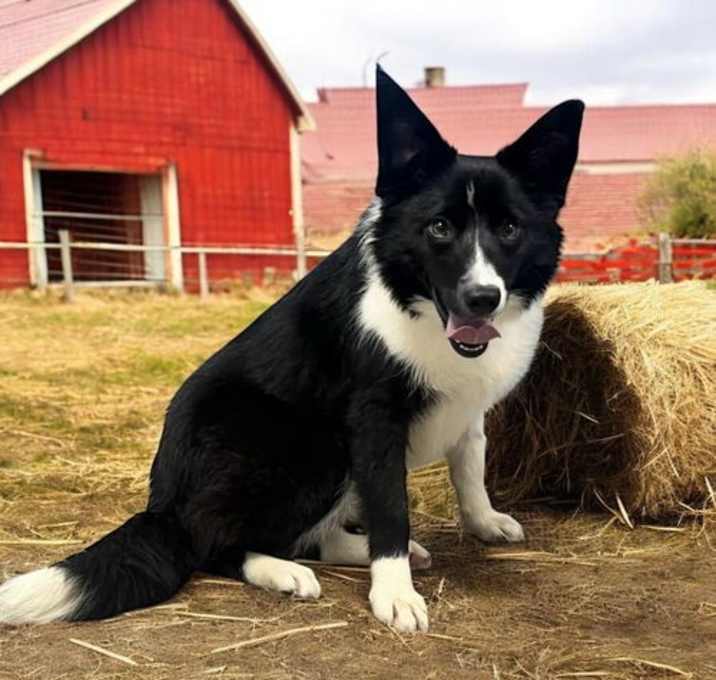 Photo of BEAUTIFUL BINDI