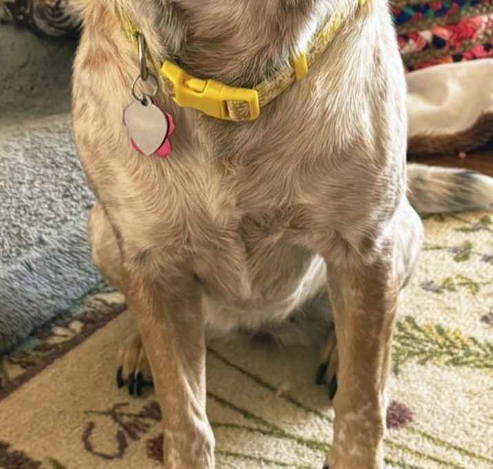 Photo of MAGGIE MAE