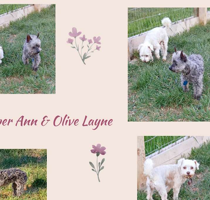 Photo of Olive Layne